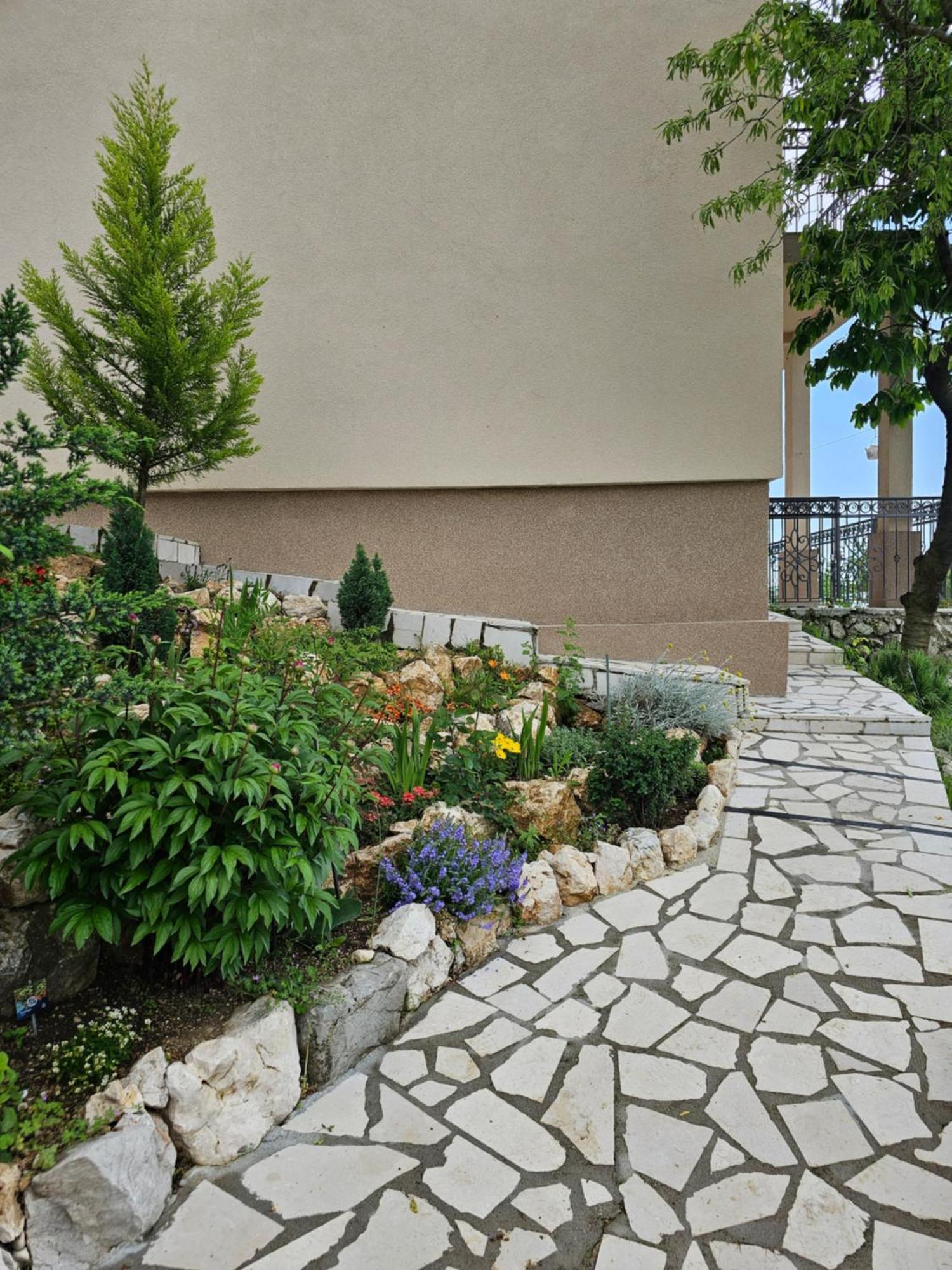Apartment Paradise Kotor Rom bilde