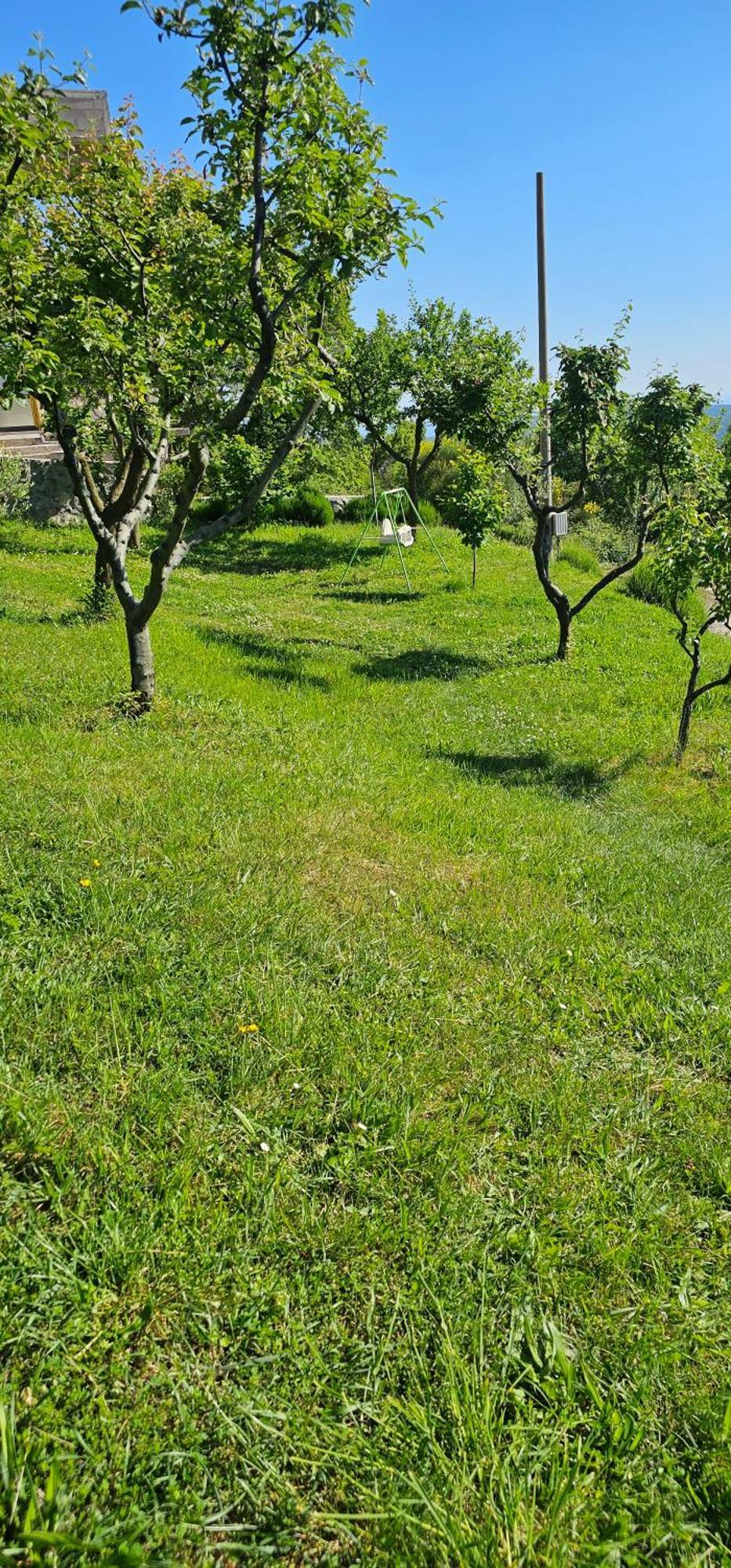 Apartment Paradise Kotor Rom bilde