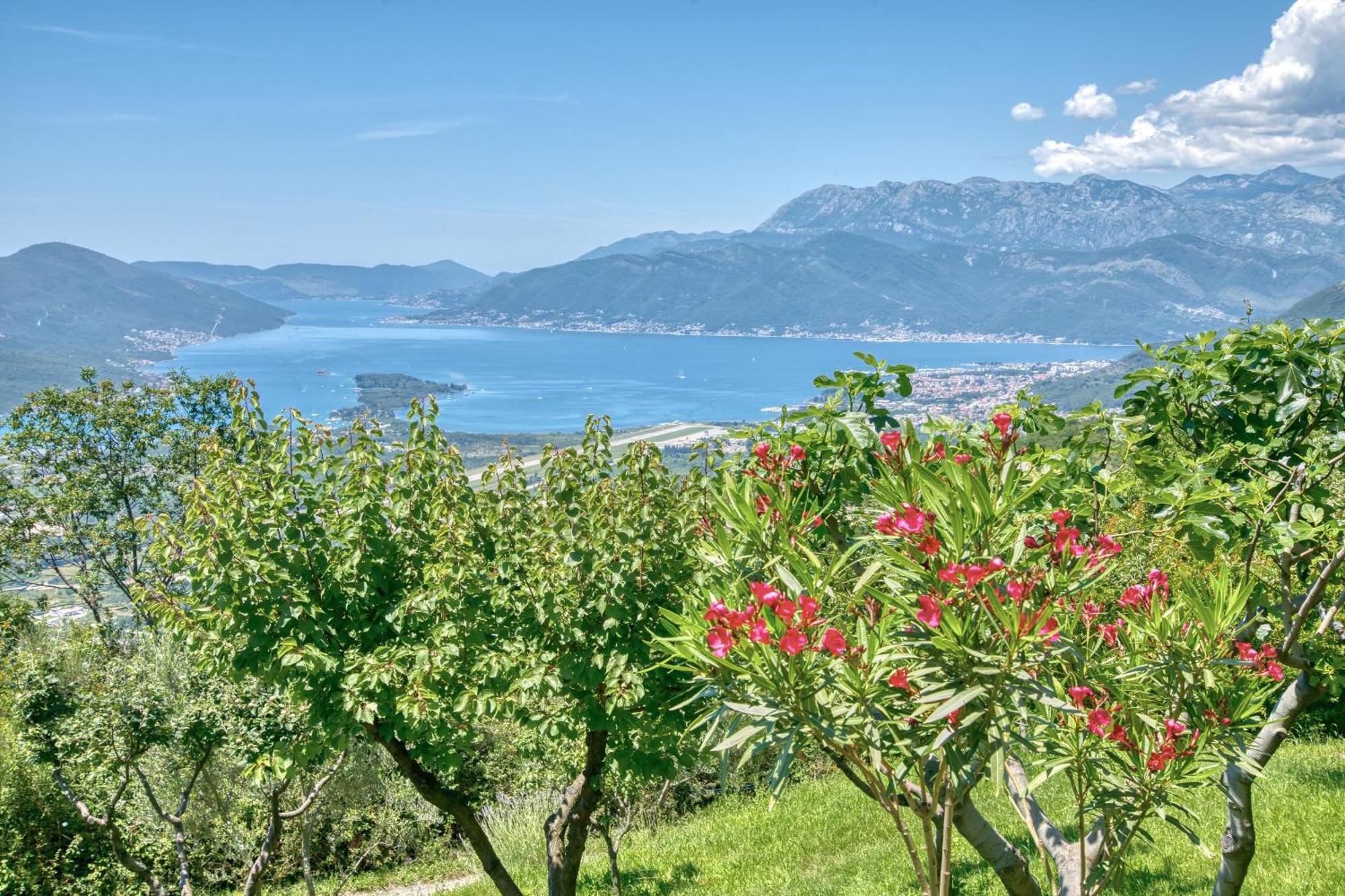 Apartment Paradise Kotor Eksteriør bilde