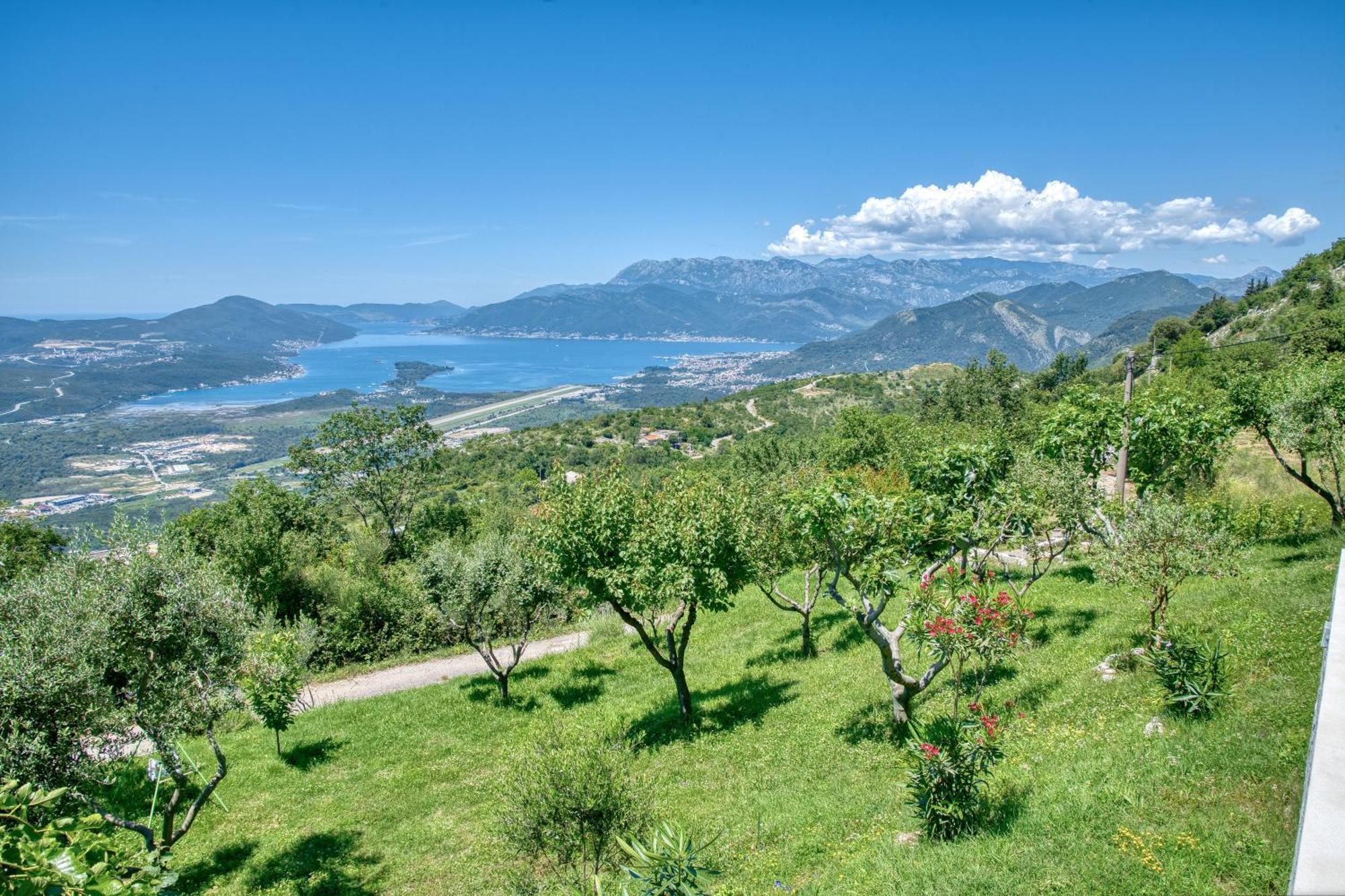 Apartment Paradise Kotor Eksteriør bilde